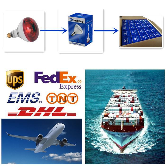 Transport of infrared heat therapy lamp