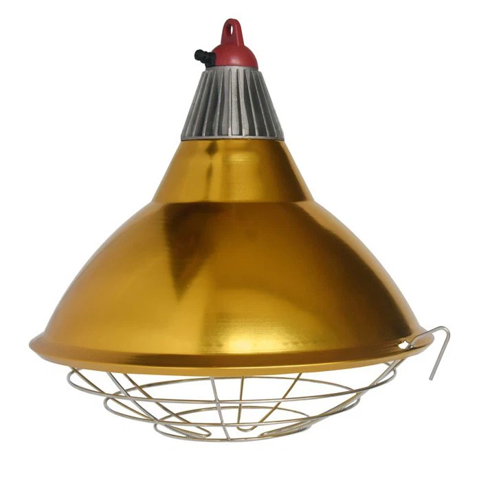 Lamp Brooder